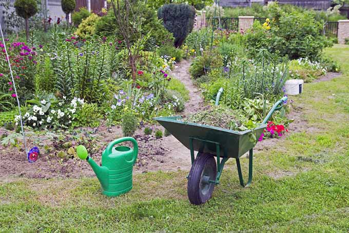 Бенефициары Тачка в саду |  GardenersPath.com