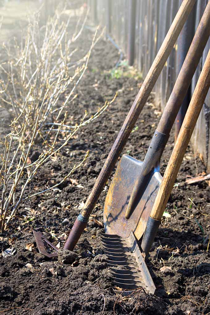 Мотыга с длинной ручкой, грабли и садовая лопата, прислоненные к деревянному забору на новой грядке в саду.