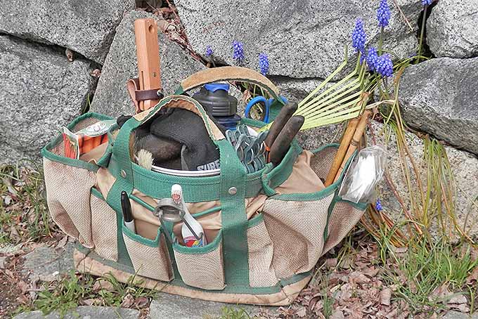 Зелено-коричневая сумка для садовых инструментов, наполненная инструментами, семенами и другими садовыми принадлежностями, на фоне каменной стены и цветущих виноградных гиацинтов.