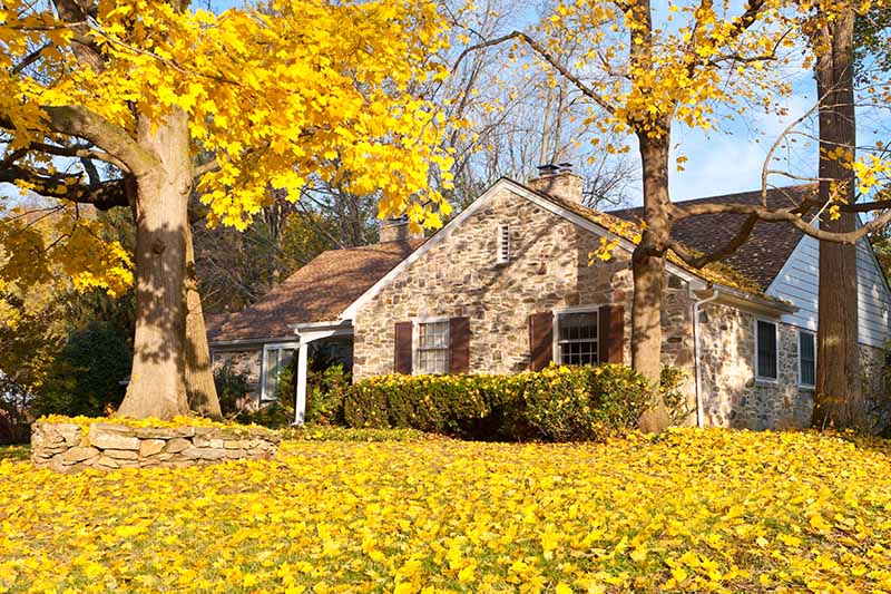 Горизонтальное изображение осеннего дома с желтыми листьями по всей лужайке в ярком солнечном свете.