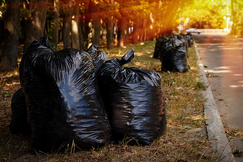 Горизонтальное изображение улицы с черными пластиковыми пакетами, наполненными осенними листьями, изображенное в солнечном свете.