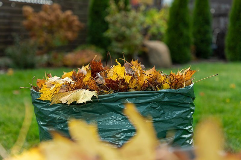 Крупный план горизонтального изображения зеленого пластикового садового мешка, наполненного свежесобранными осенними листьями, на фоне садовой сцены в мягком фокусе.