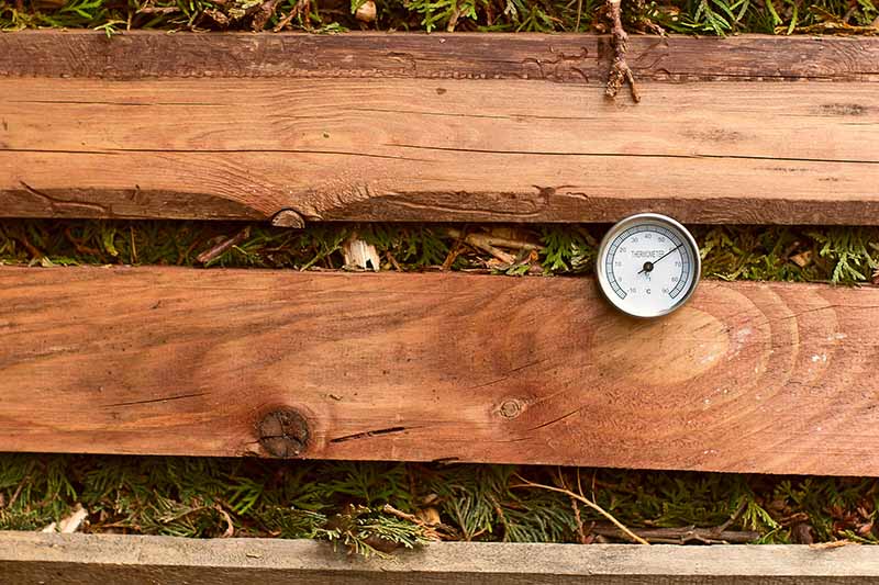 Крупный план небольшого термометра, измеряющего температуру внутри компостной кучи на заднем дворе, построенной из деревянных реек.